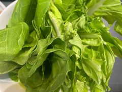 -木王宴语·野生鲜菌火锅(玉河店)