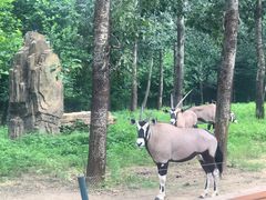 -大连森林动物园