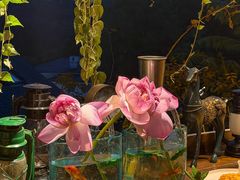 -马灯部落·西湖边的创意山景餐厅(虎跑动物园店)