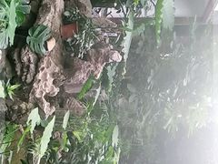 -滕头生态酒店(奉化店)