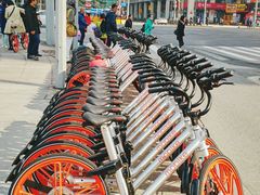 -张记牛肉面馆(天津路店)