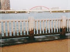 -五缘湾湿地公园