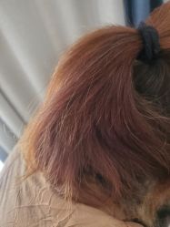 -蚂蚁造型俱乐部