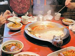 -袁老四重庆老火锅(桐梓坡店)