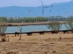 -野鸭湖国家湿地公园