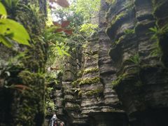 -梭布垭石林景区