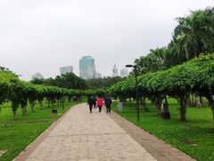 -万绿园