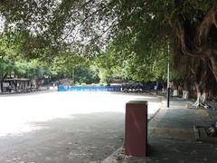 -水濂山森林公园