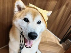 -大橘咖啡(坂田店)