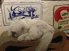 iphone_upload_pic-Sirena海妖日咖夜酒