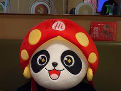 -海底捞火锅(宝龙广场夜宵主题店)