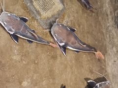 -洛阳龙门海洋馆