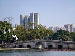 -荔湾湖公园