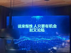 -MM·五声·音乐人与调酒师(西安路店)
