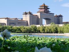 -莲花池公园