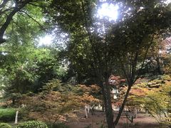 -西安汉城湖景区