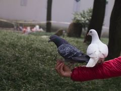 -西园寺