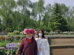 -曹州牡丹园