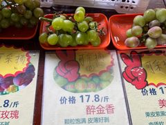 -马陆小张葡萄园农家乐