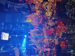 -滨海欢乐昔唐酒吧(财富星座店)