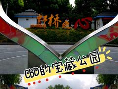 -新虹桥中心花园