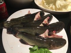 -锦官会