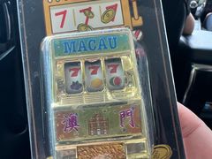 -澳门威尼斯人综合度假区