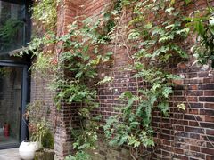 -元生咖啡(陶溪川店)