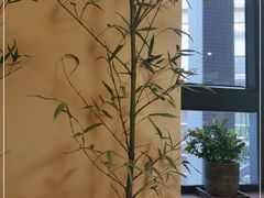 -十二舍·湯物素煮(江泰潤政店)