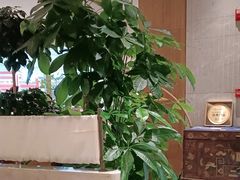 -周家二小姐的菜·扬州菜·香炒蟹·狮子头(江都金鹰店)