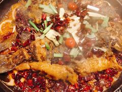 鱼摆摆-老板恋上鱼(印象城店)