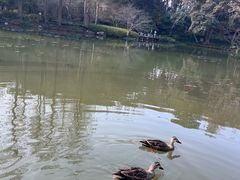 -杭州植物园