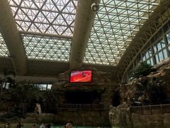 -杭州开元森泊度假乐园