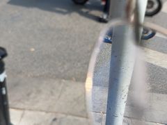 -诚志饼家·小凤饼非遗传承(中山六路店)
