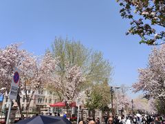 -民园广场