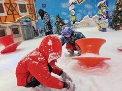 -世界之窗阿尔卑斯冰雪世界
