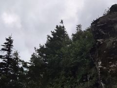 -牛背梁国家森林公园