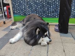 -龙湖重庆时代天街