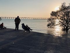 -宝安西湾红树林湿地公园