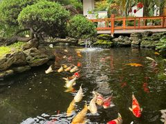 -聚福宝合苑食府(南头镇店)