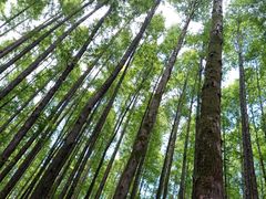 -山王坪喀斯特国家生态公园