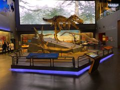 -贝林大翅鲸简餐厅(国家海洋博物馆店)