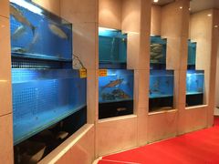 水产区-花中城·杭帮菜·粤菜·海鲜火锅(清泰街店)