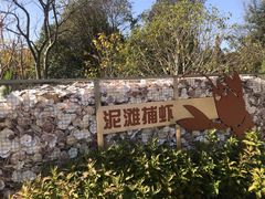 -昆山城市生态森林公园