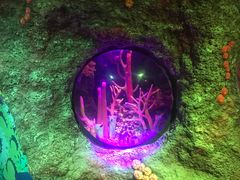 -沈阳海洋探索中心