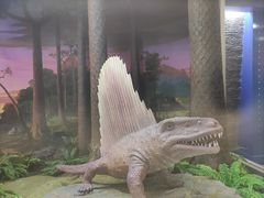 -国家自然博物馆