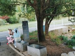 -贵阳市花溪国家城市湿地公园