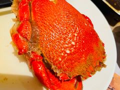 -青岛蓝海御华大饭店（金沙滩店）·蓝钻国际美食自助百汇