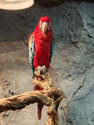 -Zoolung Zoolung动物主题公园(海信广场店)