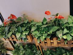 -阿明小菜·海鲜·上海菜(梅陇店)